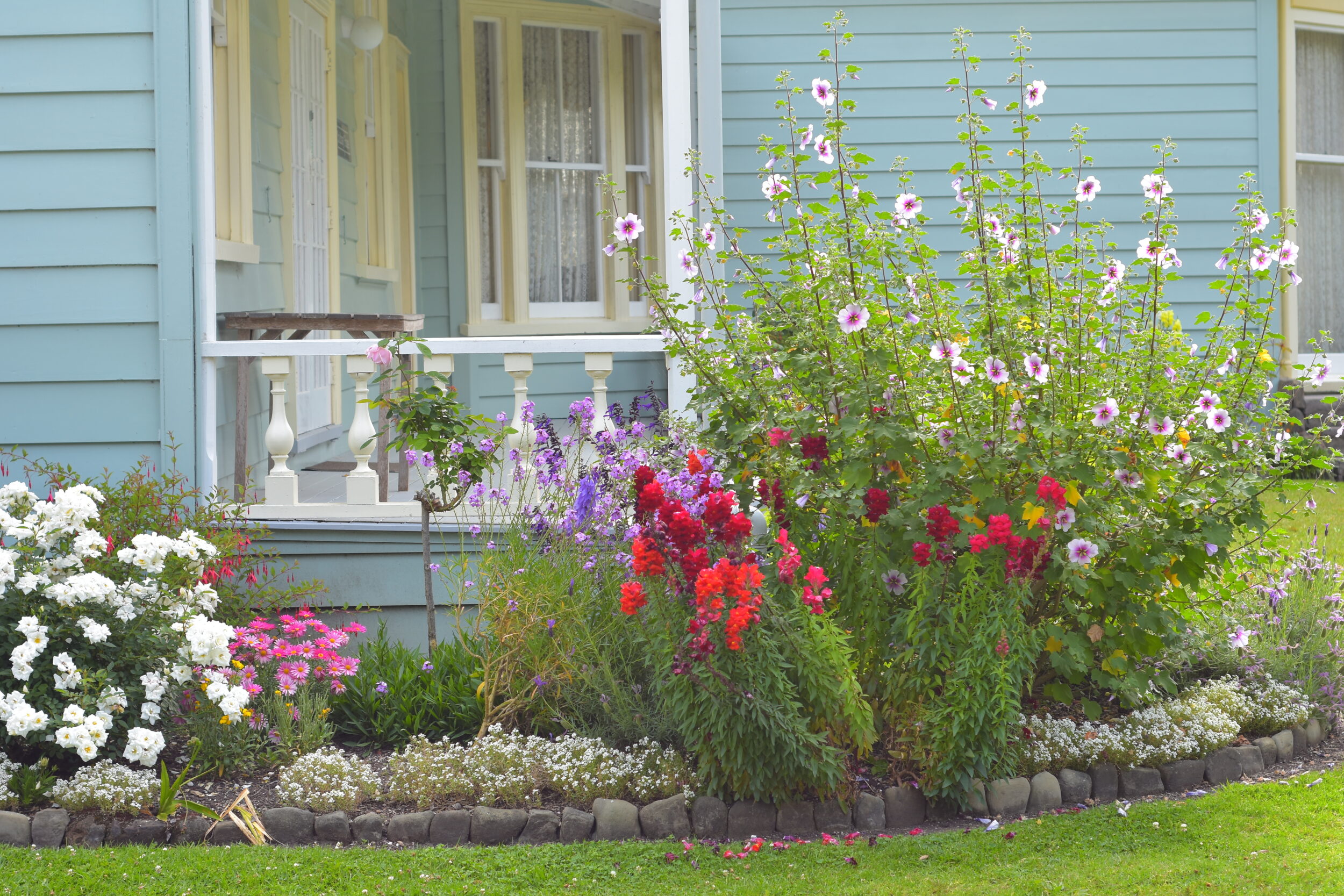 What to look out for when buying a house – Scrim